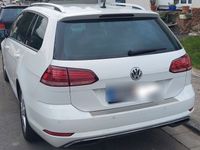 gebraucht VW Golf VII 