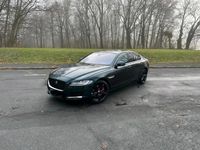 Gebraucht Jaguar XF 300 PS (220 kW) 2016 Andere farben Limousine