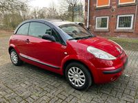 Gebraucht Citroën C3 Pluriel 73 PS (53 kW) 2004 Rot Cabrio