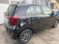 Gebraucht Kia Picanto Vision 67 PS (49 kW) 2024 Aurora black Kleinwagen