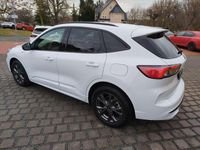 Gebraucht Ford Kuga ST-Line 150 PS (110 kW) 2021 Frostweiß SUV