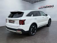 Neu Kia Sorento 252 PS (185 kW) 2025 Weiss SUV