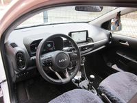 Gebraucht Kia Picanto Vision 79 PS (58 kW) 2024 Weiß Kleinwagen