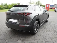 Gebraucht Mazda CX-30 Selection 150 PS (110 kW) 2020 Grau SUV
