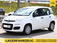 Neu Fiat Panda 69 PS (50 kW) 2025 Weiß Kleinwagen