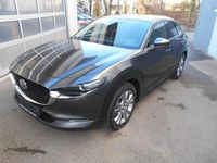 Gebraucht Mazda CX-30 Selection 179 PS (131 kW) 2022 Grau SUV