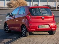 Gebraucht Kia Picanto Edition 7 67 PS (49 kW) 2014 Signal red Kleinwagen
