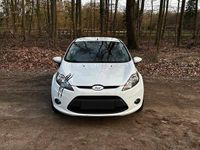 Gebraucht Ford Fiesta Trend 82 PS (60 kW) 2009 Weiß Kleinwagen