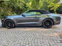 Second-hand Ford Mustang GT 421 CP (309 kW) 2017 Gri Cabrio