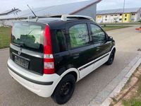 gebraucht Fiat Panda 1.2 8V Alessi Klima Panoramadach