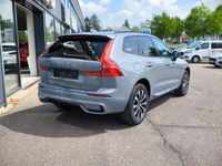 Gebraucht Volvo XC60 Plus 250 PS (183 kW) 2023 Grau SUV