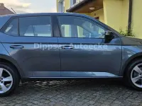 Gebraucht Skoda Fabia Cool Plus 60 PS (44 kW) 2020 Grau Kleinwagen