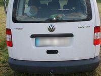 Gebraucht VW Caddy Life 104 PS (76 kW) 2010 Weiß Van / Kleinbus