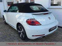 Gebraucht VW Beetle Sound 105 PS (77 kW) 2017 Weiß Kleinwagen
