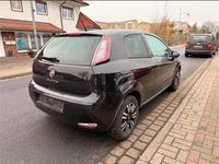 Gebraucht Fiat Punto Evo Young 69 PS (50 kW) 2015 Schwarz Kleinwagen