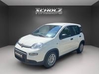 Gebraucht Fiat Panda 71 PS (52 kW) 2024 Weiß Kleinwagen