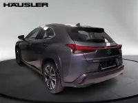 Gebraucht Lexus UX 2023 Grau SUV