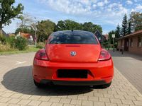 gebraucht VW Beetle 2.0 TDI 81kW CLUB, 17 Zoll+Winterreifen