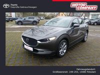 Gebraucht Mazda CX-30 Selection 179 PS (131 kW) 2021 Grau SUV