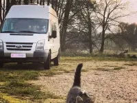 Usata Ford Transit 125 CV (91 kW) 2013 Grigio Monovolume