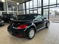 gebraucht VW Beetle Cabriolet BMT/Klima/Tempomat