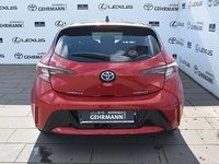 Gebraucht Toyota Corolla Plus 122 PS (89 kW) 2019 Karminarot metallic, dach schwarz
