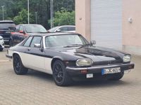 gebraucht Jaguar XJS 5.3 V12 Automatik Leder H-Kennzeichen