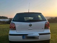 Gebraucht VW Polo 69 PS (50 kW) 2009 Weiß Kleinwagen