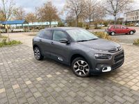 gebraucht Citroën C4 Cactus PureTech 110 S&S Shine EAT6 Shine