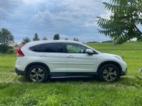 Gebraucht Honda CR-V Executive 150 PS (110 kW) 2014 Weiß SUV