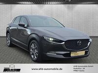 Gebraucht Mazda CX-30 Selection 150 PS (110 kW) 2021 Grau SUV