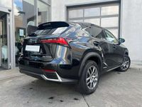 gebraucht Lexus NX300h Executive Line * Navi * ACC/PCS * All-Wetter-Reifen *