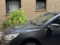 Gebraucht Chevrolet Malibu LT 160 PS (117 kW) 2014 Limousine