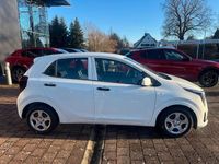Neu Kia Picanto 68 PS (50 kW) 2026 Weiß Kleinwagen
