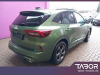 Gebraucht Ford Kuga ST-Line 186 PS (136 kW) 2024 Grün SUV