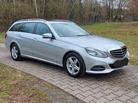 gebraucht Mercedes E220 BlueTEC BE T Edition AVANTG. Auto. Edi...