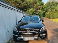 gebraucht Mercedes ML350 