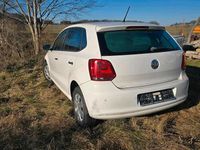 Gebraucht VW Polo 60 PS (44 kW) 2011 Weiß Kleinwagen