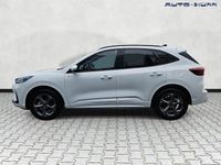 Neu Ford Kuga ST-Line 186 PS (136 kW) 2026 Frozenwhite SUV