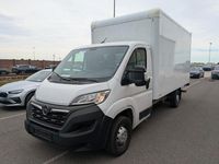 Gebraucht Opel Movano 140 PS (102 kW) 2024 Casabl/arctic/eisweiss/kaolin Van