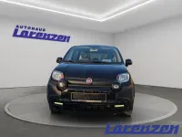 Gebraucht Fiat Panda Cross Cross 69 PS (50 kW) 2023 Schwarz Kleinwagen