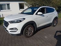 Gebraucht Hyundai Tucson 159 PS (116 kW) 2017 Weiß SUV