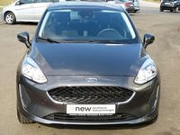 Gebraucht Ford Fiesta Trend 71 PS (52 kW) 2019 Grau Kleinwagen
