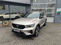Gebraucht Volvo XC40 Plus 163 PS (119 kW) 2024 Bright dusk metalic SUV