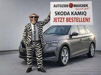 Neu Skoda Kamiq Selection 116 PS (85 kW) 2026 Energy blau SUV