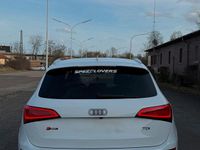 Gebraucht Audi SQ5 Competition 326 PS (239 kW) 2016 Weiß SUV