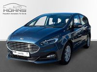 Gebraucht Ford S-MAX S 190 PS (139 kW) 2022 Blau Van / Kleinbus