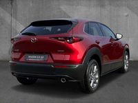 gebraucht Mazda CX-30 2.0 122 6GS e-SKYACTIV Exclusive-line DASO