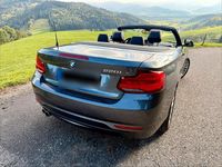 Gebraucht BMW 220 Advantage 184 PS (135 kW) 2018 Grau Cabrio