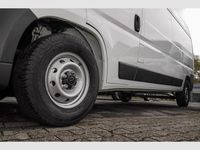 Neu Opel Movano 140 PS (102 kW) 2025 Weiss Van